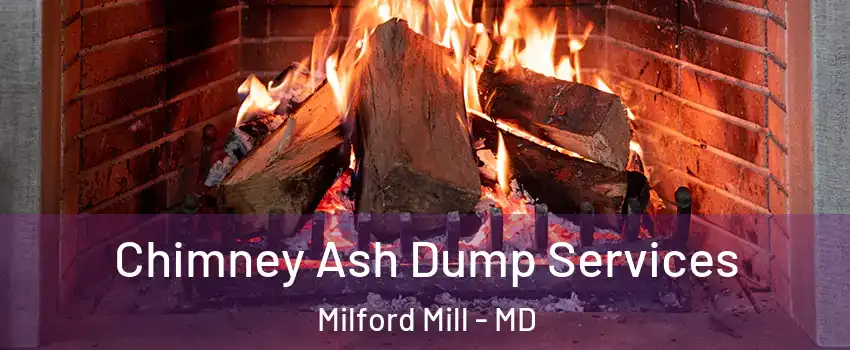  Chimney Ash Dump Services Milford Mill - MD