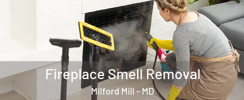  Fireplace Smell Removal Milford Mill - MD