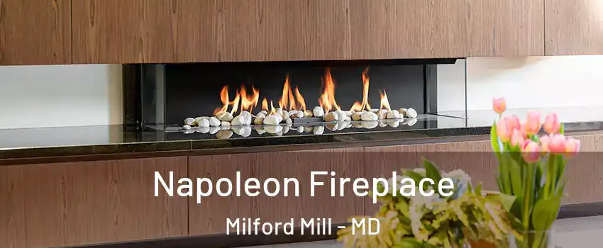  Napoleon Fireplace Milford Mill - MD